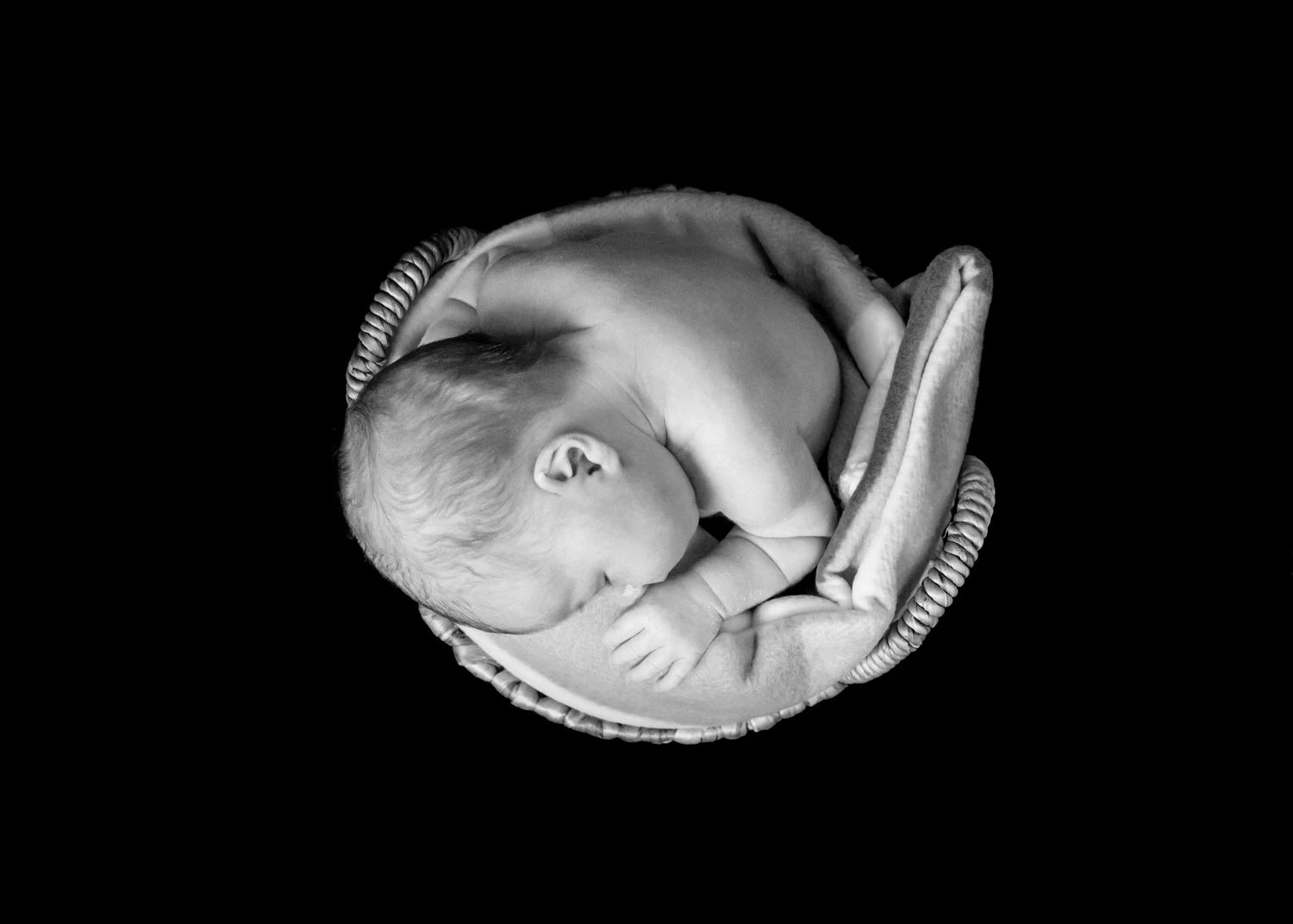 newborn baby in a basket